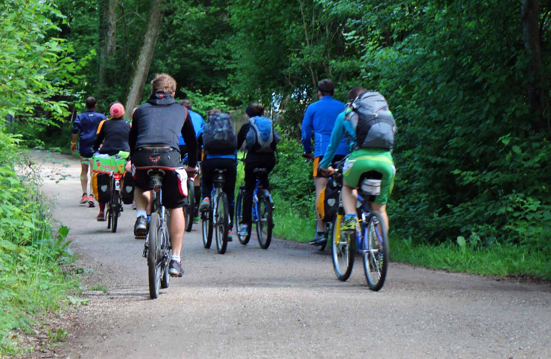 Quelle: pixabay.com/antranias, https://pixabay.com/de/photos/hobby-freizeit-gemeinschaft-gruppe-358921/ Gruppe Fahrradfahrer fährt durch den Wald